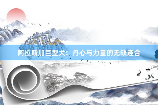 阿拉斯加巨型犬:丹心与力量的无缺连合